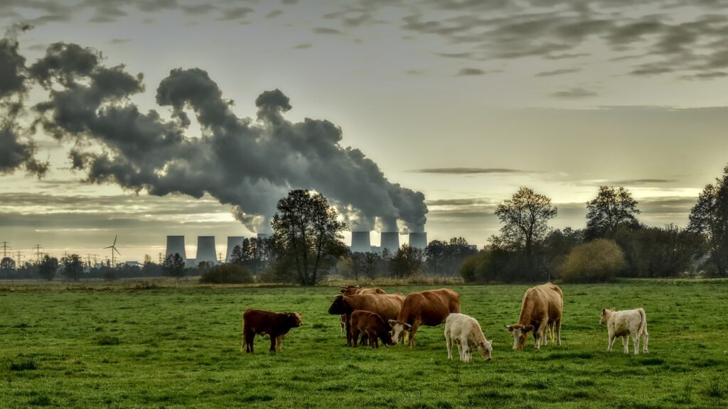 pascolo con sfondo di industrie inquinanti. ma quando si è cominciato a parlare di sostenibilità ambientale?